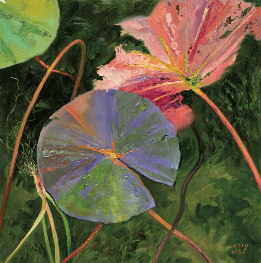 Palette of Curiosities