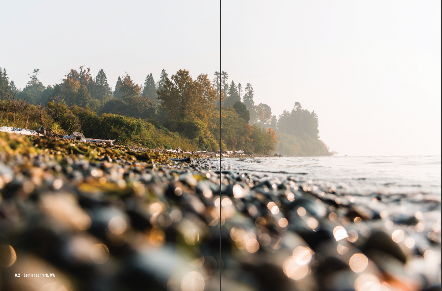 Journey along the edge through the eyes and vision of photographer Allison Davis to see what’s revealed in the West Coast landscapes and in your spirit as you connect with nature in this wondrous photographic exploration.