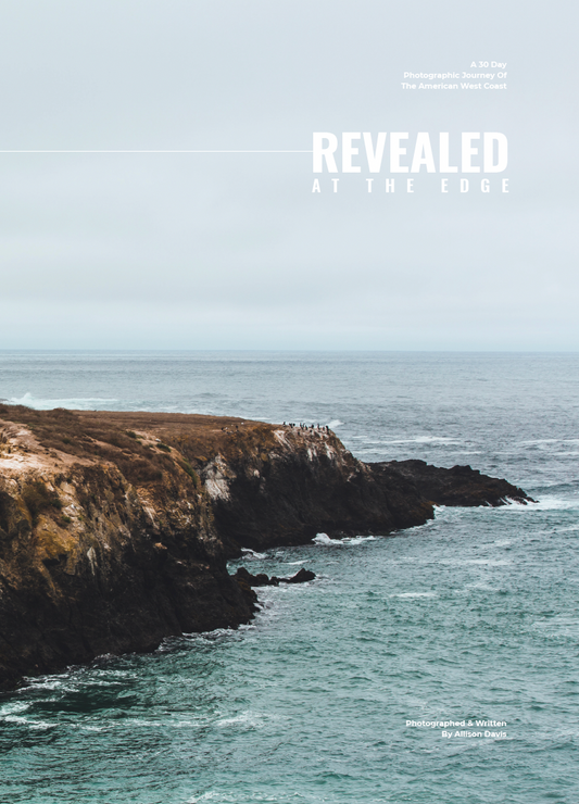 Fueled by passion, a love of the coast and an abundance of time thanks to the global pandemic of 2020, photographer & writer Allison Davis pursued beauty to create this curated coastal journey.